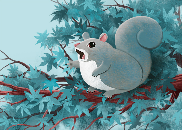 Singing Squirrel